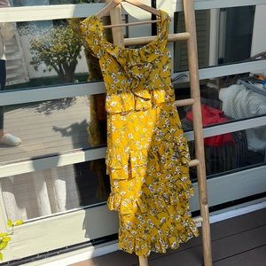 Tularosa dress!